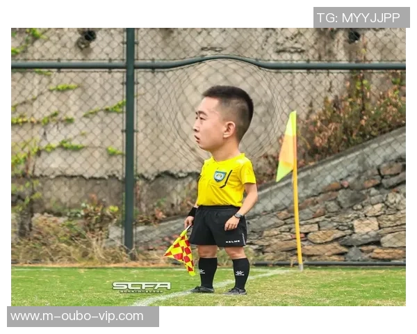 足球场上的公正守护者：探秘著名足球裁判的职业生涯与影响力